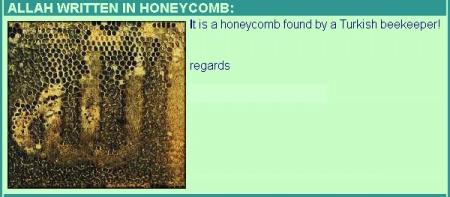 les abeilles sont des  petits creature que son nom est dans le CORAN  mais la c vraiment SOBHAN ALLAH